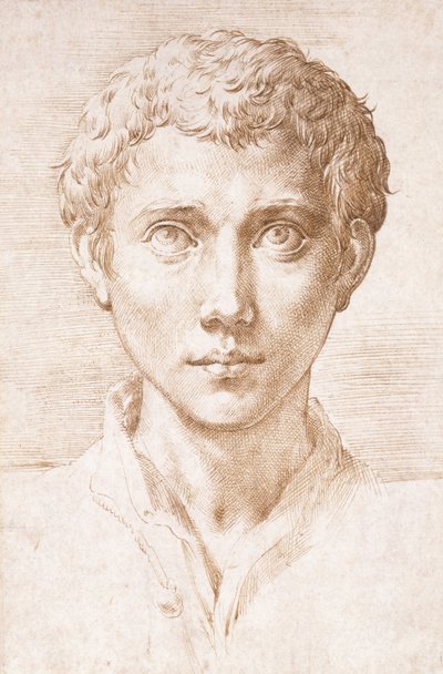 見上げる若い男の頭、 作： Parmigianino