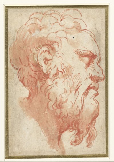 右横顔の老人の頭部 作： Parmigianino