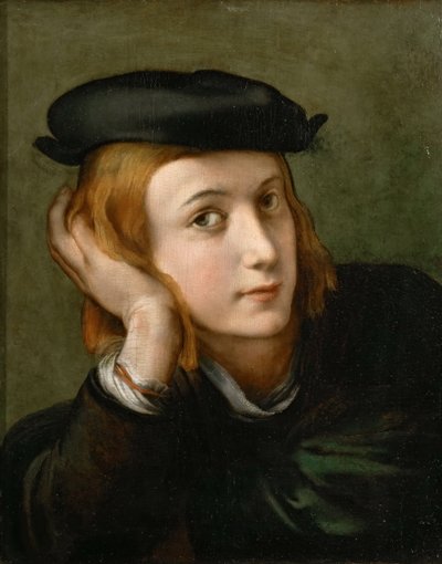 少年の肖像、1524年頃。 作： Parmigianino