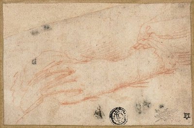 左手と手首のスケッチ 作： Parmigianino