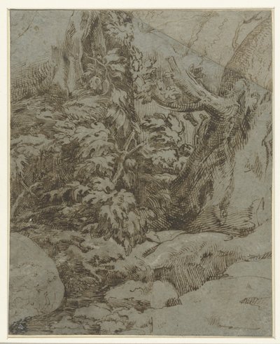 風景の研究 作： Parmigianino