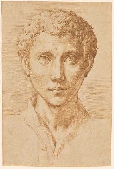 若者の頭 作： Parmigianino