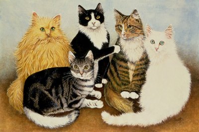 猫のゆりかご 作： Pat Scott