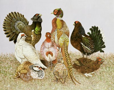 狩猟鳥類 作： Pat Scott