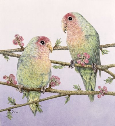 愛の鳥 作： Pat Scott