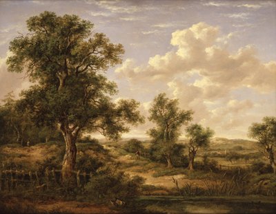  作： Patrick Nasmyth