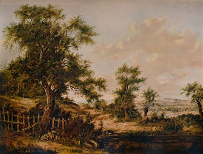 1828年前景にプールと木がある風景 作： Patrick Nasmyth
