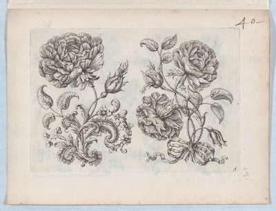 小さな花のモチーフのシリーズ、プレート 5、ca. 1670～85年頃。 1670-85。 作： Paul Androuet Du Cerceau