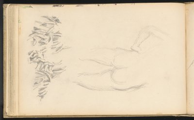 ヌードと葉 作： Paul Cézanne