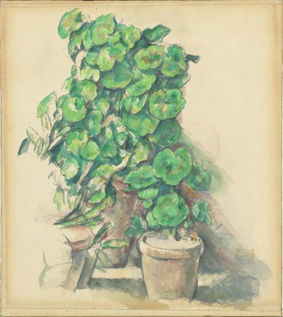 ゼラニウム 作： Paul Cézanne