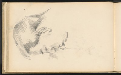 アーティストの息子の頭 作： Paul Cézanne