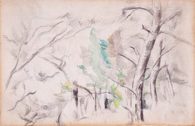 木[直角]; ピロン・デュ・ロワのアンカニャーヌ [後ろ] 作： Paul Cézanne
