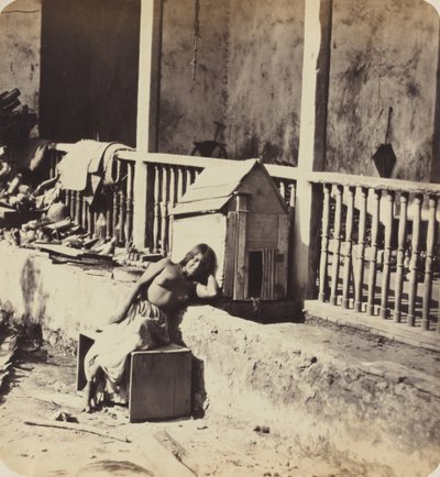 ガーベル マルティニーク犬、1870 年代。 作： Paul Emile Miot
