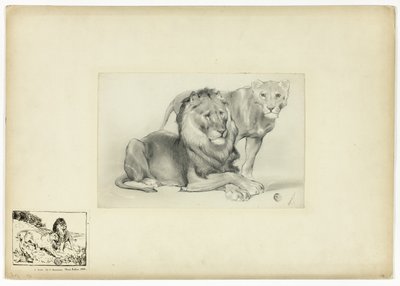 ライオンと雌ライオン 作： Paul Friedrich Meyerheim