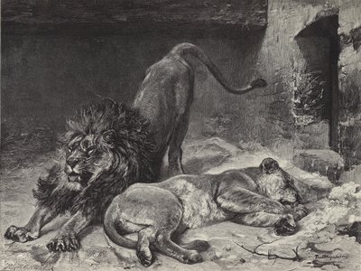 ライオンの目覚め 作： Paul Friedrich Meyerheim
