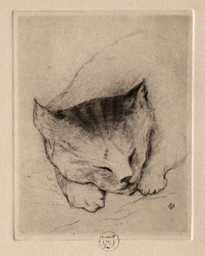 6枚のエッチング: 子猫の頭 作： Paul Gachet