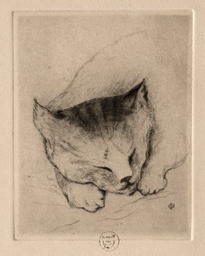 6つのエッチング：子猫の頭、1895年。 作： Paul Gachet