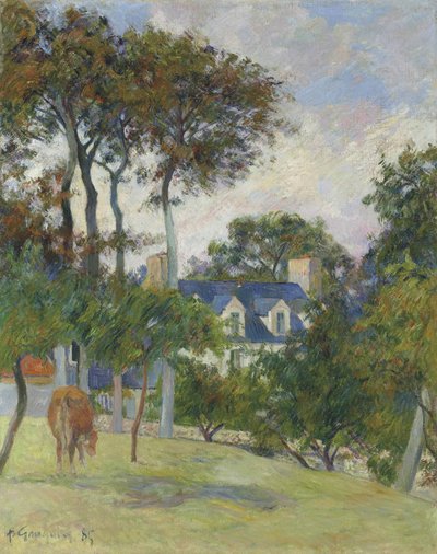 フランス語：La Maison blanche / Le Château de l
