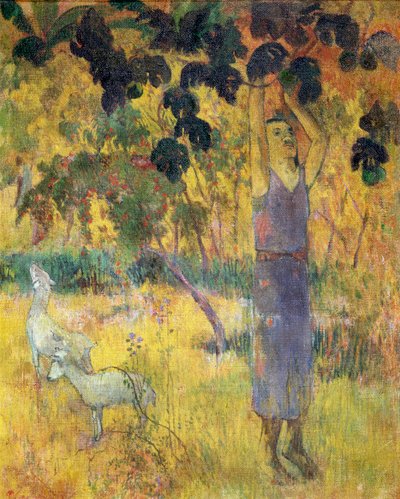 木から果物を選ぶ男、1897年。 作： Paul Gauguin