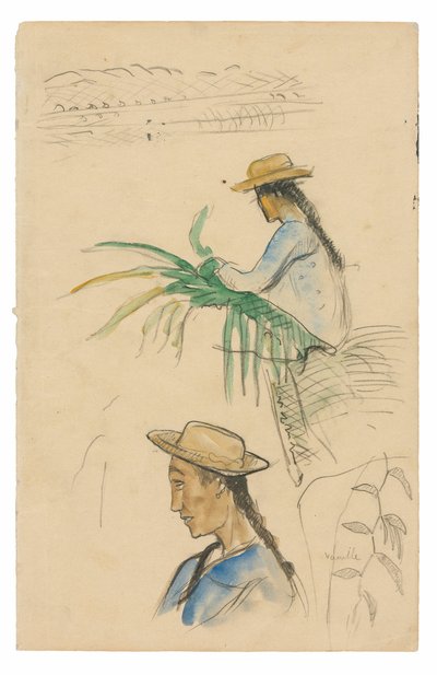 人物画、パンダナスの葉、バニラのスケッチ 作： Paul Gauguin