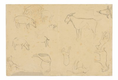 様々な動物と頭部のスケッチ（レクト）、頭部、横顔の人物、解剖学的詳細、動物のスケッチ（裏面） 作： Paul Gauguin