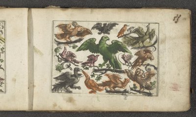 猛禽類、その他 11 羽の鳥、コウモリ 鳥（シリーズタイトル） 作： Paul Göttich