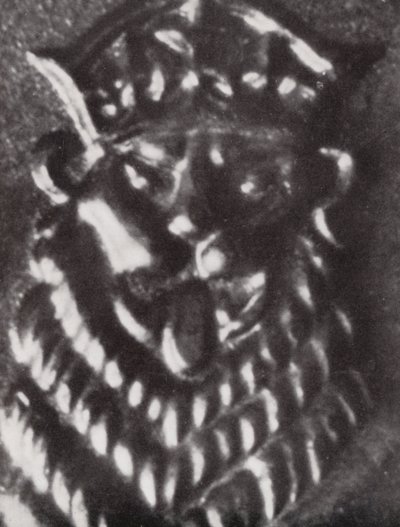 1シリング硬貨のライオンの頭部（モノクロ写真） 作： Paul Henning