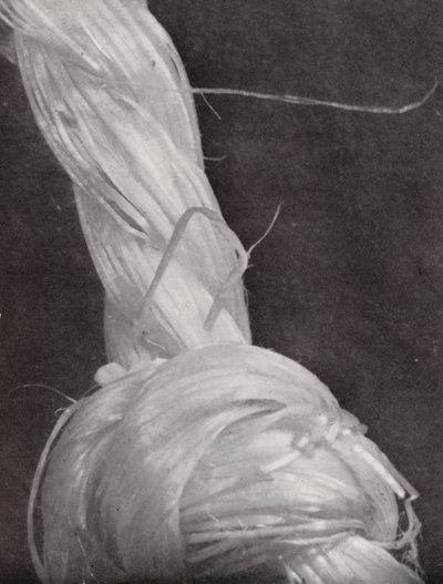 紐の結び目（モノクロ写真） 作： Paul Henning