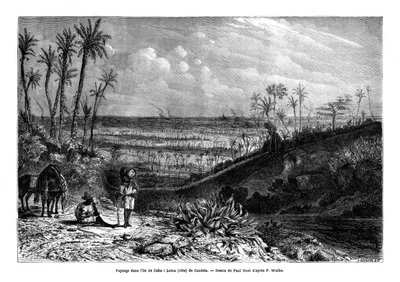 1859年、キューバ島の風景 作： Paul Huet