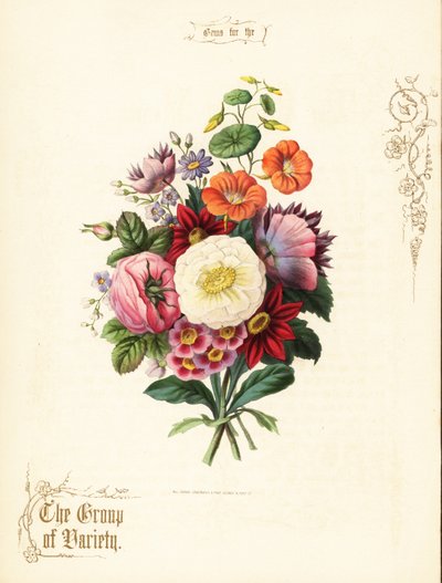 白いバラ、ダリア、キンレンカ、耳介の花束。 作： Paul Jerrard