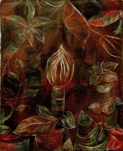 観葉植物写真つぼみ 作： Paul Klee