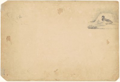 アヒルとクワガタ [裏面] 作： Paul Lacroix