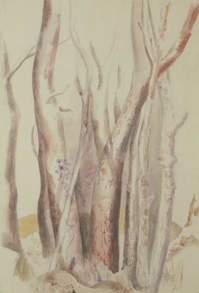 樹木が茂った風景の研究 作： Paul Nash