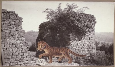 タイガー、タイガー、1938年頃（コラージュ） 作： Paul Nash
