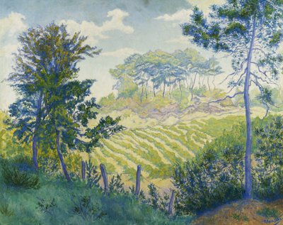 松の下のブドウ畑;松の下のブドウ畑c。 1898 作： Paul Elie Ranson