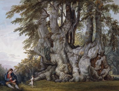 古代の節くれだったブナの木の根元で犬のダンスをする少年、 作： Paul Sandby
