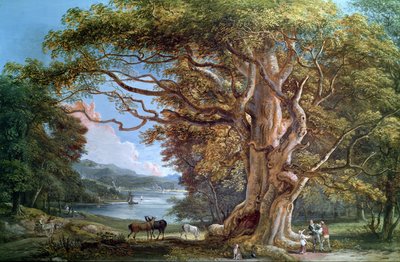 古代のブナの木、1794 作： Paul Sandby