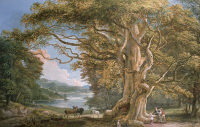 古代のブナの木 作： Paul Sandby