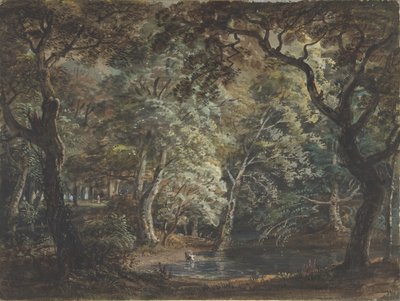 ウィンザー グレート パーク、1790～99 年。 作： Paul Sandby