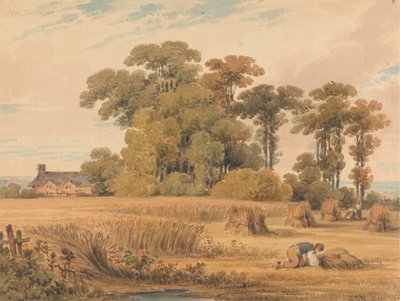 トウモロコシ畑 作： Paul Sandby Munn