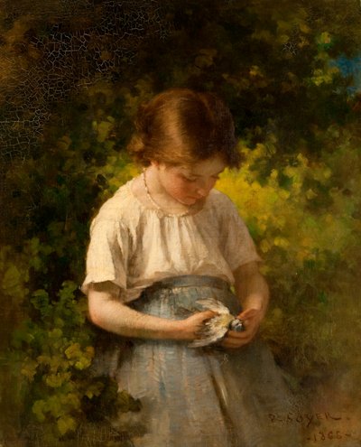 死んだ鳥 作： Paul Soyer