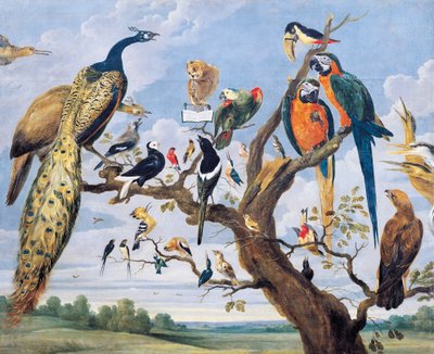 ポール・デ・ヴォス（1591-1678年頃）作「鳥たちのコンサート」（オランダ 作： Paul De Vos