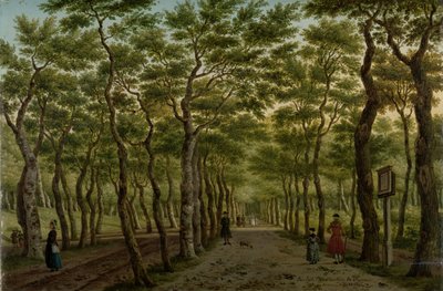 Haagse Bos のヘレパッド ハーグ近郊のスヘフェニンゲンの森 作： Paulus Constantijn la Fargue (signed by artist)