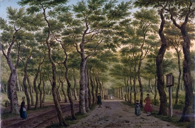 Haagse Bos のヘレパッド 作： Paulus Constantin La Fargue