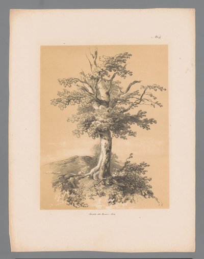 ブーム Paulus Lauters の Picturesque Faces (シリーズ タイトル) Etrennes pittoresques pour 1839、Lauters作（シリーズタイトル） 作： Paulus Lauters