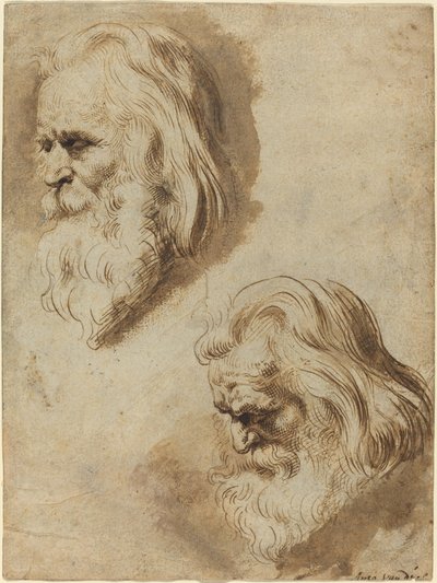 年配の男性の頭の 2 つの研究 作： Paulus Pontius after Sir Peter Paul Rubens