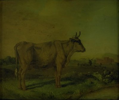 牛 作： Paulus Potter