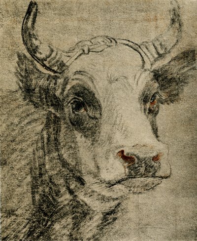 動物研究 作： Paulus Potter