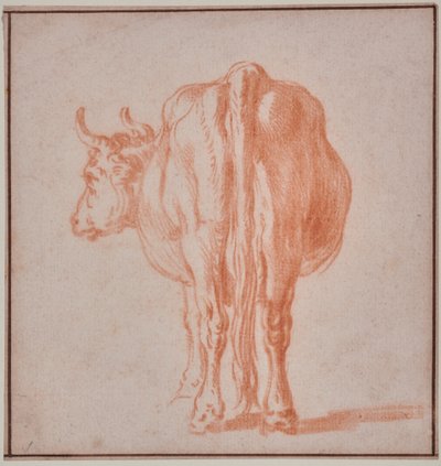 ウシ（動物研究） 作： Paulus Potter