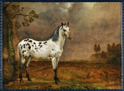 はげ馬 作： Paulus Potter